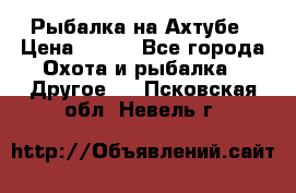 Рыбалка на Ахтубе › Цена ­ 500 - Все города Охота и рыбалка » Другое   . Псковская обл.,Невель г.